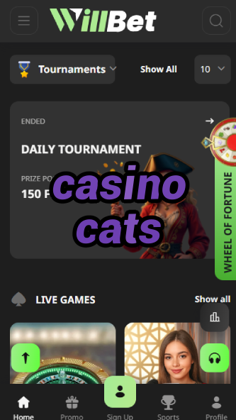 Casino Cats - Feline-Themed Casino Games-www302.ydblkf.net